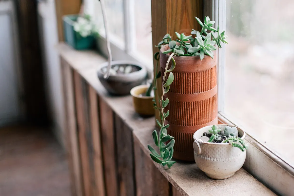 Windowsill Herb Planter Checklist: What to Buy Before You Plant